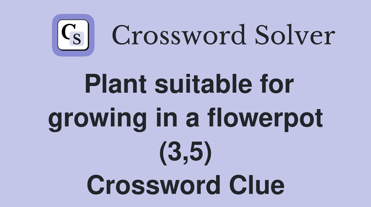 Plant suitable for growing in a flowerpot (3,5) Crossword Clue